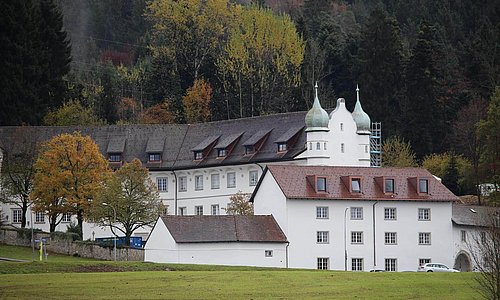 Schloss im Wald mit Wiese und Bäumen