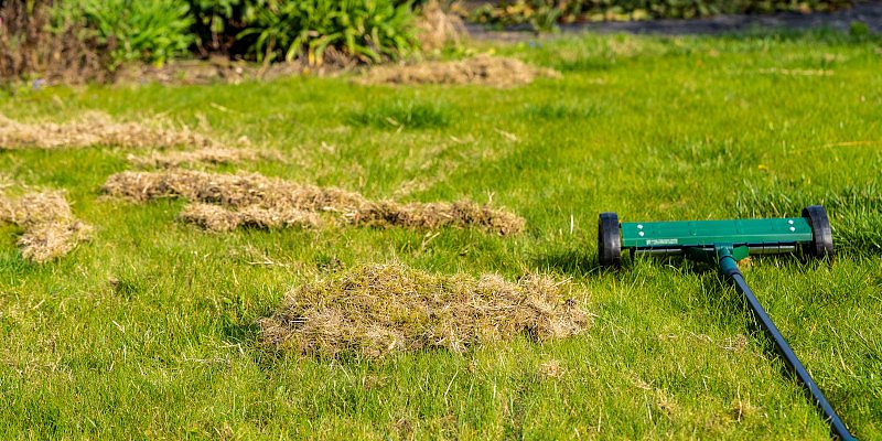 Altes Gras mit dem Vertikutierer entfernen