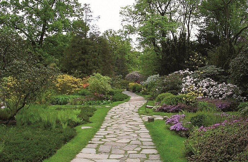 gepflasterter Gehweg zwischen grünem Garten mit Bäumen und Blumen