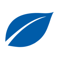 Blaues Blatt auf weißen Hintergrund