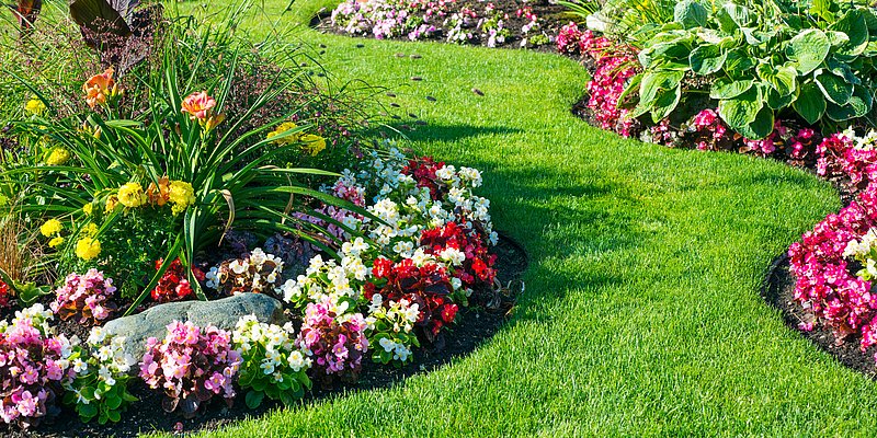 Garten mit Rasen und Blumenbeet
