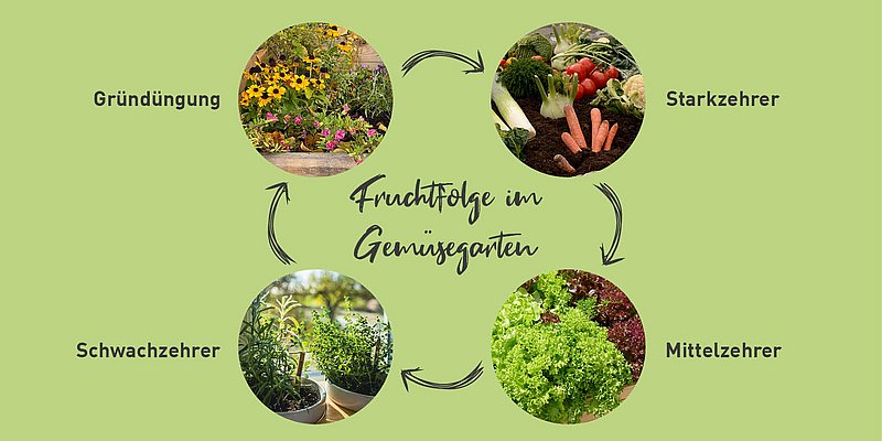 Erklärung der Permakultur in grün