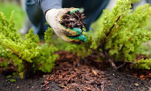 Mulch und Abdeckmaterial für den Garten