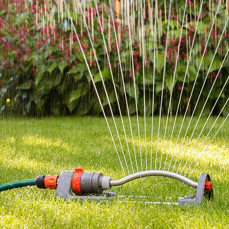 Sprinkler bewässert eine Rasenfläche