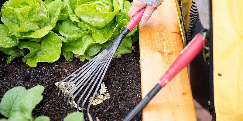 Pflegen des Hochbeets mit einem kleinen Handwerkzeug