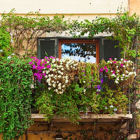 Balkon begrünt dient als Sonnenschutz