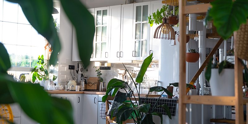 Moderne weiße Küche mit Holzelementen und grünen Pflanzen