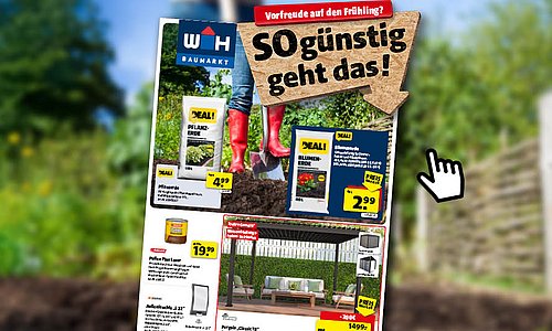 Vorschau vom ersten Flugblatt im Jahr 2026