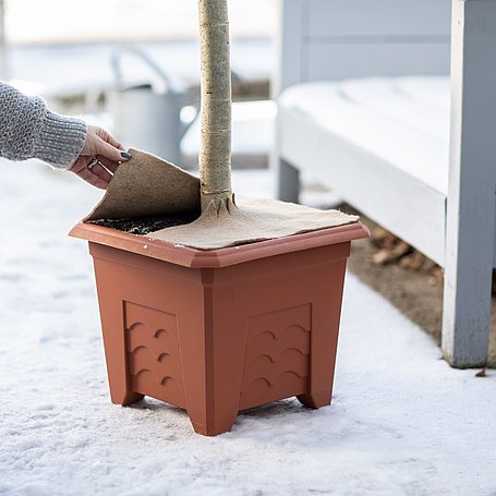 Mulchmatte auf Blumentopf als Frostschutz