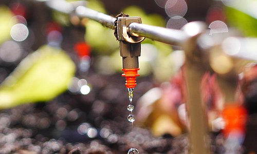 Oberirdische Gartenbewässerung für das Gemüsebeet