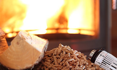 Kamin mit davorliegendem Feuerholz, Pellets und Thermostatkopf