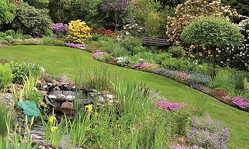 grüner Garten mit Pflanzen und Blumen