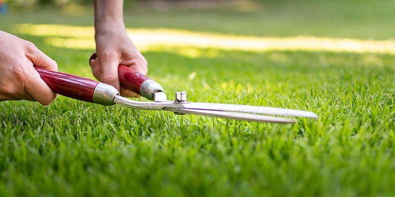 Rasen wird mit Gartenschere geschnitten