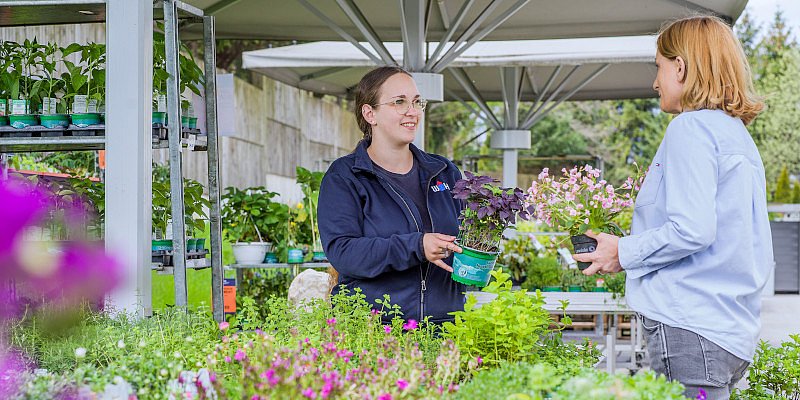 Gartencenter-Mitarbeiterin berät Kundin zu Pflanzen