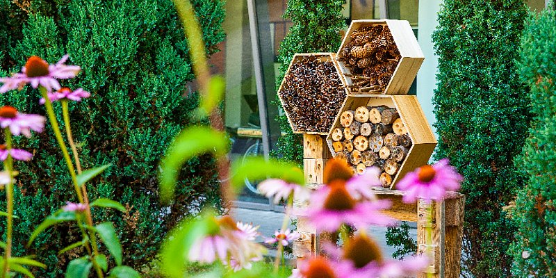 Insektenhotel steht im Garten 