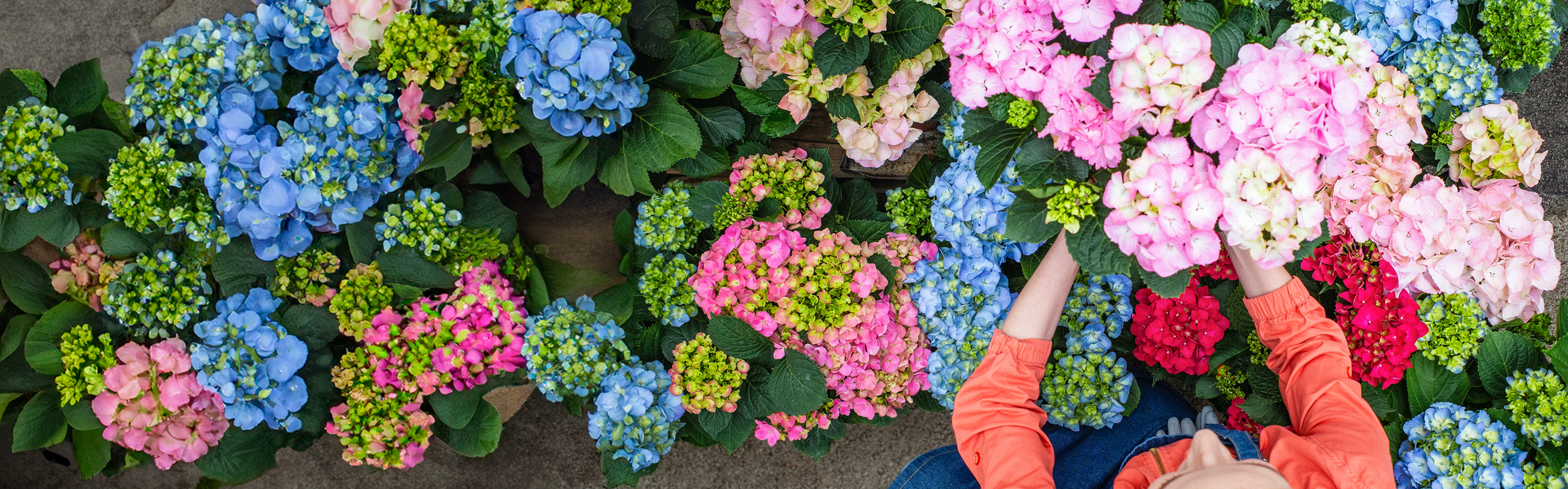 Frau sitzt am Boden mit bunten Blumen in der Hand