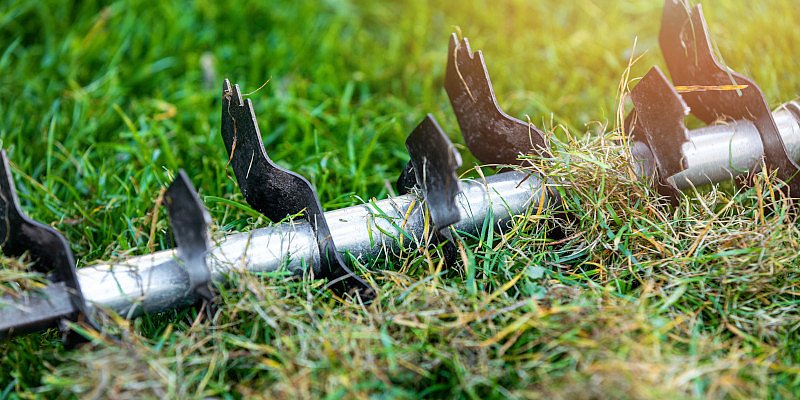 Durch Vertikutieren altes Gras entfernen