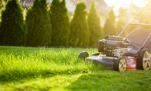 Das Mähen von saftig grünem Gras mit einem Benzin-Rasenmäher