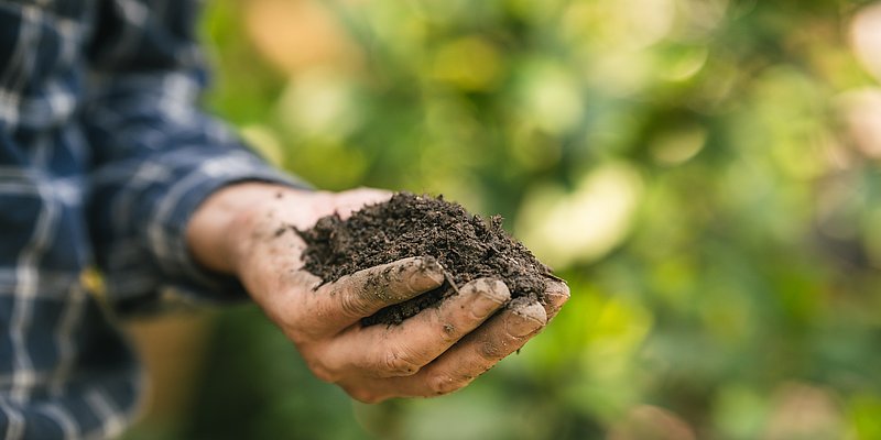 Mann steht im Garten und hält Erde in der Hand