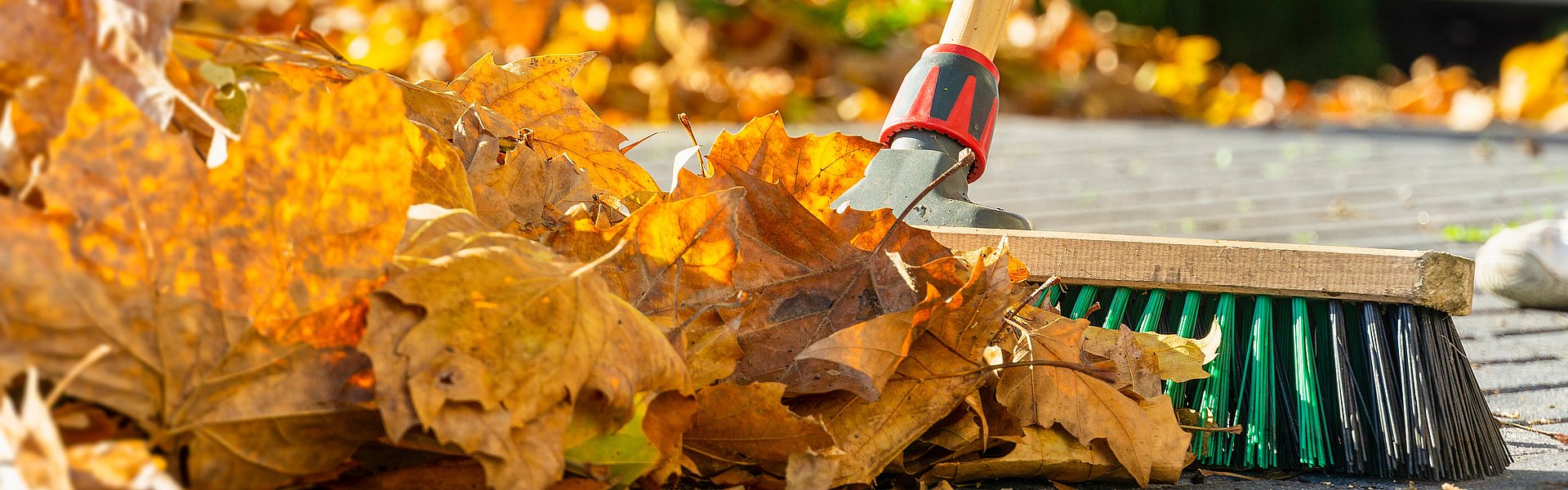 WH Blog Garten richtig auf den Winter vorbereiten