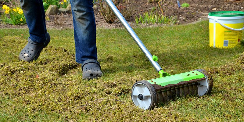 Vertikutieren als Gartenarbeit