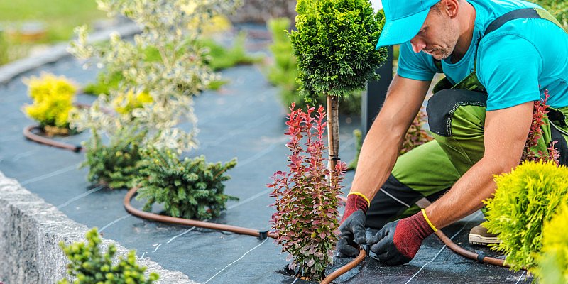 Mann verlegt eine Pipeline zur Gartenbewässerung oberirdisch