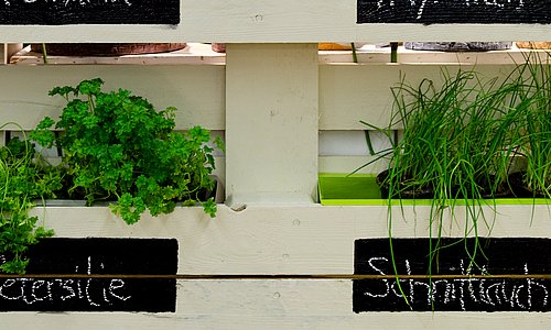 vertikaler Garten aus Europalette
