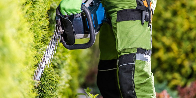 Mann schneidet mit einer Heckenschere seine Sträucher und die Gartenhecke