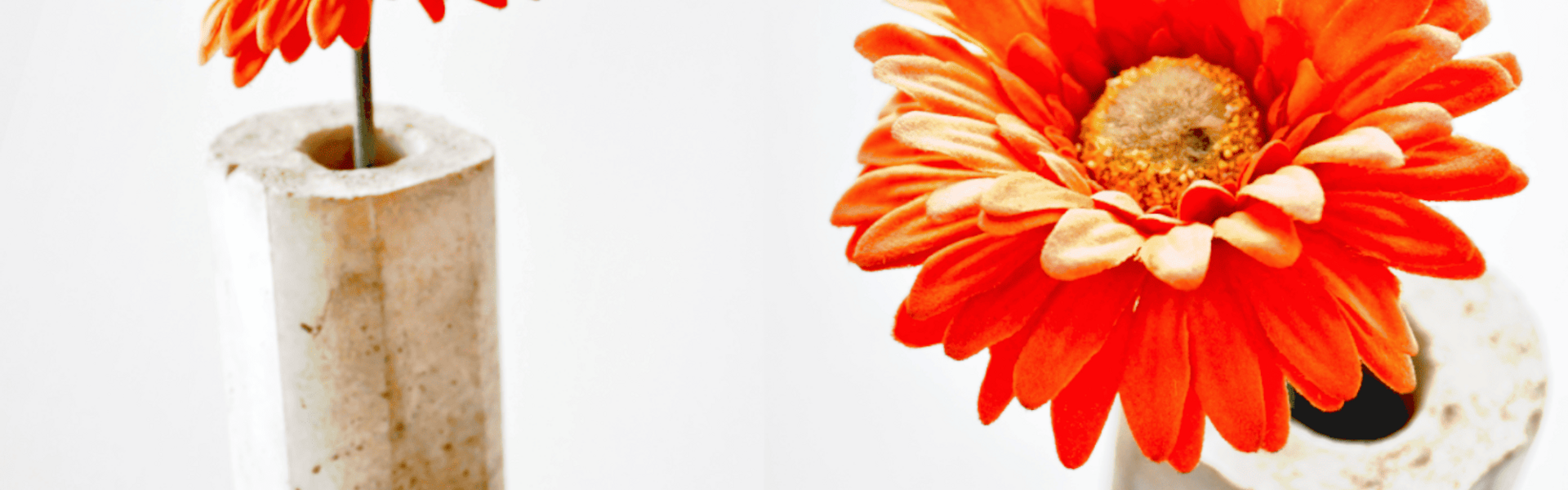 Betonvase mit oranger Blume